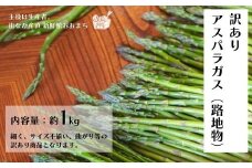 【先行予約】数量限定 朝採り／訳あり「グリーンアスパラ」1kg