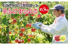 家庭用 りんご サンふじ 約5㎏ ≪先行予約11月下旬頃～順次発送≫