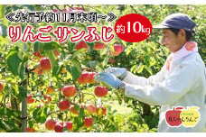 家庭用 りんご サンふじ 約10㎏ ≪先行予約11月下旬頃～順次発送≫