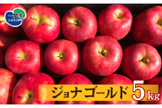特選 ジョナゴールド 5kg りんご リンゴ 林檎 果物 フルーツ 送料無料 岩手県 一関市