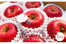 【 先行予約 】特選ふじりんご5kg