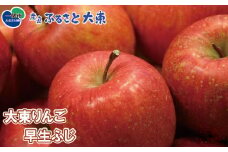 大東りんご 早生ふじ 8～9個