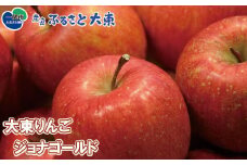 大東りんご ジョナゴールド 8～9個