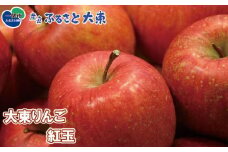 大東りんご 紅玉 8～9個
