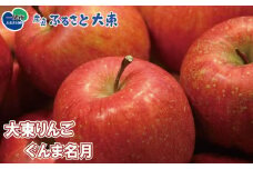 大東りんご ぐんま名月 8～9個