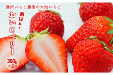 唐沢いちご農園  大粒いちご おいCべりー 380g×2パック 