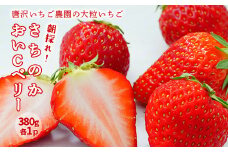 唐沢いちご農園  大粒いちご さちのか＆おいCべりー（各380g×1パック）果物 フルーツ 苺 イチゴ 岩手県 一関市