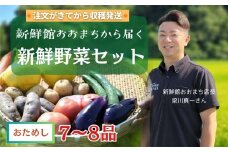 【注文が来てから収穫】岩手県産 新鮮野菜詰め合わせ セット 7〜8品 お試し 人気 野菜 詰め合わせ セット 新鮮 採れたて 季節の野菜 セット おまかせ やさい 産地直送 旬 トマト にんじん なす しいたけ 根菜 果物 送料無料 岩手県 一関市