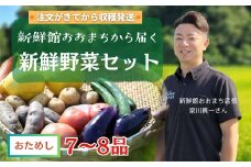 【注文が来てから収穫】岩手県産 新鮮野菜詰め合わせ セット 7〜8品 お試し 人気 野菜 詰め合わせ セット 新鮮 採れたて 季節の野菜 セット おまかせ やさい 産地直送 旬 トマト にんじん なす しいたけ 根菜 果物 送料無料 岩手県 一関市