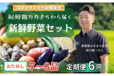 【定期便6回】注文が来てから収穫発送！収穫したばかりの新鮮野菜セット お試しコース 《7～8品》 季節のお野菜 おまかせ お楽しみ 獲れたて産地直送 旬 春野菜 ベジタブル ヘルシー 健康 詰め合わせ 一関市
