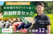【定期便12回】注文が来てから収穫発送！収穫したばかりの新鮮野菜セット お試しコース 《7～8品》季節のお野菜 おまかせ お楽しみ 獲れたて産地直送 旬 春野菜 詰め合わせ 一関市
