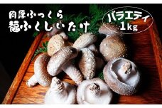 肉厚ふっくら 福ふくしいたけ バラエティー 1kg