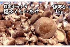 肉厚ふっくら 福ふくしいたけ 訳あり品 1kg