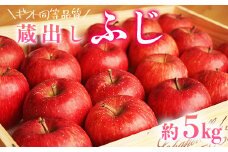 【ギフト同等品質】蔵出しふじ 約5kg  リンゴ 林檎 果物 フルーツ 産地直送 常温便 送料無料 岩手県 一関市