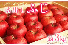 【ギフト同等品質】蔵出しふじ 約3kg リンゴ 林檎 果物 フルーツ 産地直送 常温便 送料無料 岩手県 一関市