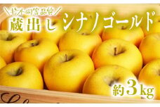 【ギフト同等品質】蔵出しシナノゴールド 約3kg  リンゴ 林檎 果物 フルーツ 産地直送 常温便 送料無料 岩手県 一関市