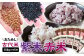 古代米 紫米・赤米お試しセット 各150g×5袋