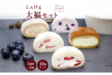 菓風のとろける大福〈5種×10個セット（各2個ずつ）〉いちご 練乳 チョコ ブルーベリー ティラミス 人気 スイーツ 冷凍 デザート 菓子 いちご大福 ギフト 生クリーム 大福 お取り寄せ お菓子 贈り物 おすすめ 小分け 国産 詰め合わせ 洋菓子 和菓子 個包装 一関 岩手