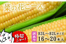 朝採れ とうもろこし 訳あり 菜の花こーん 16～20本 B3L～B2Lサイズ 家庭用 産地直送 農家直送