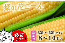 朝採れ とうもろこし 訳あり 菜の花こーん 8～10本 B3L～B2Lサイズ 家庭用 産地直送 農家直送