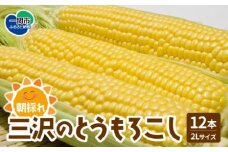 数量限定・期間限定 朝採れ 三沢のとうもろこし 2Lサイズ 12本  トウモロコシ スイートコーン 産地直送 夏野菜 BBQ キャンプ