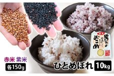 【お米と古代米のセット 】 ひとめぼれ 計10kg （ お米 5kg×2袋 ） 紫米 赤米 各150g 1袋 ／ お試し 白米 雑穀 ご飯 栄養 アントシアニン ポリフェノール 国産
