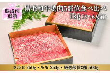 《格之進》熟成肉二段重 黒毛和牛 焼肉 5部位食べ比べ1kg（5～6人前）