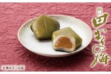 献上田むらの梅6個×2箱