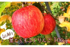 【 先行予約 】訳あり 葉とらずふじりんご10kg サンふじ リンゴ 林檎 フジ 家庭用