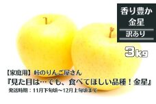 【先行予約】【家庭用】峠のりんご屋さん  金星 3kg（10～12 玉入り）旬りんご