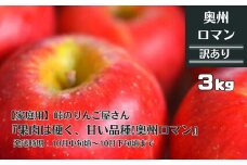 【家庭用】峠のりんご屋さん  奥州ロマン 3kg（10～12 玉入り）旬りんご