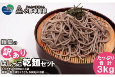 【訳あり】麺屋のはしっこ乾麺セット3kg 〈そば 500g×4袋＋うどん 500g×2袋〉 乾麺 麺 蕎麦 そば とろろそば かぼちゃうどん 南部一郎かぼちゃ とろろ かぼちゃ 南京 とろろ芋 山かけそば 一関市 岩手県
