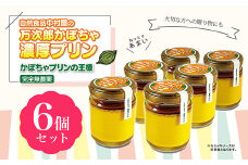 【完全無農薬】万次郎かぼちゃ濃厚プリン 80g×6個