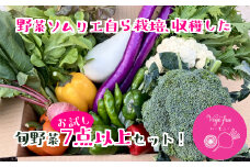 野菜ソムリエ渡邊淳子の 新鮮野菜お試しセット 7点以上 季節のお野菜 おまかせ お楽しみ 獲れたて 産地直送 旬 鍋 冬野菜 ベジタブル ヘルシー 健康 詰め合わせ 一関市