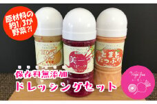 Vegefruハーモニー 保存料無添加 ドレッシング 3本 セット 野菜 調味料 料理 人気 おすすめ 詰め合わせ ビーツ たまねぎ トマト 一関市 岩手県

