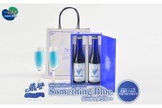 サムシングブルー 330ml×2本セット 特製ギフトBOX 特製手提げ袋付き