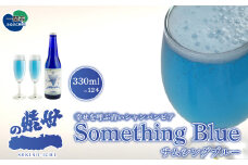 サムシングブルー 330ml×12本セット