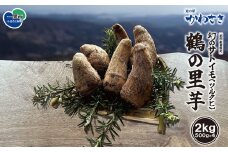 道の駅かわさき 「幻のサトイモ」鶴の里芋(ツルクビ) 