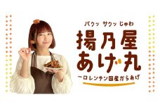 【オヤマ】「揚乃屋あげ丸」～一口レンチン国産からあげ～ 300g×3袋 【 国産 唐揚げ 奥州いわいどり 鶏肉 味噌 惣菜 冷凍 岩手県 一関市 】