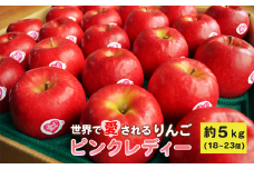 世界で愛されるりんご ピンクレディー 約5kg リンゴ 林檎 果物 フルーツ 産地直送 常温便 送料無料 岩手県 一関市