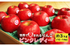 世界で愛されるりんご ピンクレディー 約3kg リンゴ 林檎 果物 フルーツ 産地直送 常温便 送料無料 岩手県 一関市