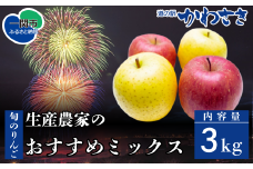 【先行予約】道の駅かわさき 旬のりんご 生産農家のおすすめ詰合せ 3kg 11月頃から順次発送 シナノゴールド・シナノスイート・ジョナゴールド・ふじ・大夢・青林・はるか/他