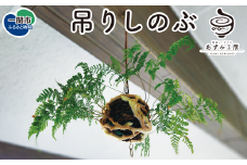 〈先行予約〉吊りしのぶ(9cm玉)