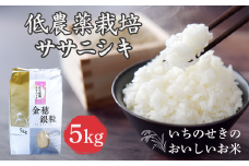 【新米先行予約】令和7年産 新米 低農薬栽培 ササニシキ 5kg【精米】