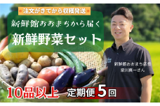【定期便5回】注文が来てから収穫発送！収穫したばかりの新鮮野菜セット 《10品以上保証》 季節のお野菜 おまかせ お楽しみ 獲れたて産地直送 旬 春野菜 ベジタブル ヘルシー 健康 詰め合わせ 一関市