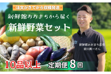 【定期便8回】注文が来てから収穫発送！収穫したばかりの新鮮野菜セット 《10品以上保証》 季節のお野菜 おまかせ お楽しみ 獲れたて産地直送 旬 春野菜 ベジタブル ヘルシー 健康 詰め合わせ 一関市