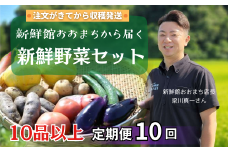 【定期便10回】注文が来てから収穫発送！収穫したばかりの新鮮野菜セット 《10品以上保証》 季節のお野菜 おまかせ お楽しみ 獲れたて産地直送 旬 春野菜 ベジタブル ヘルシー 健康 詰め合わせ 一関市