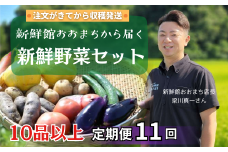 【定期便11回】注文が来てから収穫発送！収穫したばかりの新鮮野菜セット 《10品以上保証》 季節のお野菜 おまかせ お楽しみ 獲れたて産地直送 旬 春野菜 ベジタブル ヘルシー 健康 詰め合わせ 一関市