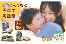 【未来へつなぐ子育て応援便】5万円コース 寄附額の一部をフードパントリー事業へ贈呈（SDGs×ふるさと納税） 食料支援 年３回返礼品をお届け