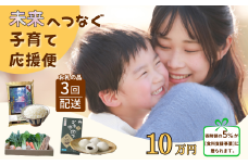 【未来へつなぐ子育て応援便】10万円コース 寄附額の一部をフードパントリー事業へ贈呈（SDGs×ふるさと納税） 食料支援 年３回返礼品をお届け